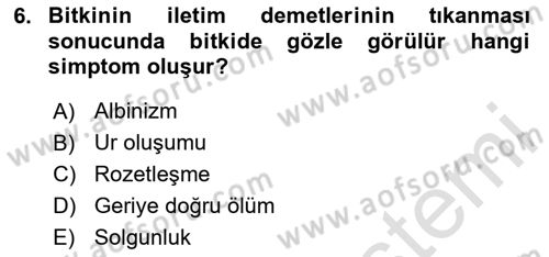Fitopatoloji Dersi 2023 - 2024 Yılı Yaz Okulu Sınav Soruları 6. Soru