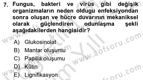 Fitopatoloji Dersi 2023 - 2024 Yılı Yaz Okulu Sınav Soruları 7. Soru