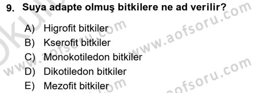 Fitopatoloji Dersi 2023 - 2024 Yılı Yaz Okulu Sınav Soruları 9. Soru