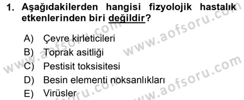 Fitopatoloji Dersi 2024 - 2025 Yılı (Vize) Ara Sınav Soruları 1. Soru