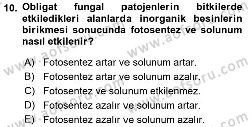 Fitopatoloji Dersi 2024 - 2025 Yılı (Vize) Ara Sınav Soruları 10. Soru