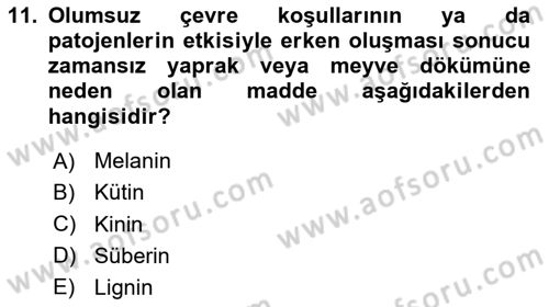 Fitopatoloji Dersi 2024 - 2025 Yılı (Vize) Ara Sınav Soruları 11. Soru