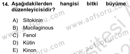 Fitopatoloji Dersi 2024 - 2025 Yılı (Vize) Ara Sınav Soruları 14. Soru