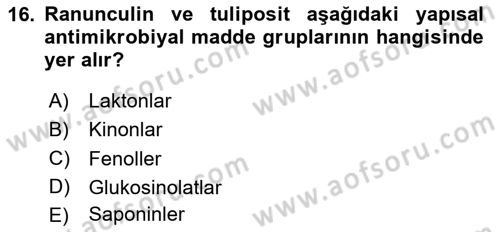 Fitopatoloji Dersi 2024 - 2025 Yılı (Vize) Ara Sınav Soruları 16. Soru