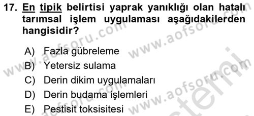 Fitopatoloji Dersi 2024 - 2025 Yılı (Vize) Ara Sınav Soruları 17. Soru