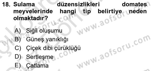 Fitopatoloji Dersi 2024 - 2025 Yılı (Vize) Ara Sınav Soruları 18. Soru