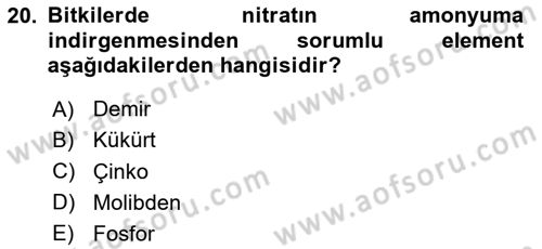 Fitopatoloji Dersi 2024 - 2025 Yılı (Vize) Ara Sınav Soruları 20. Soru