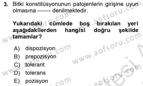 Fitopatoloji Dersi 2024 - 2025 Yılı (Vize) Ara Sınav Soruları 3. Soru