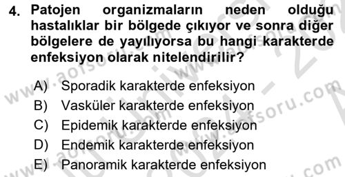 Fitopatoloji Dersi 2024 - 2025 Yılı (Vize) Ara Sınav Soruları 4. Soru