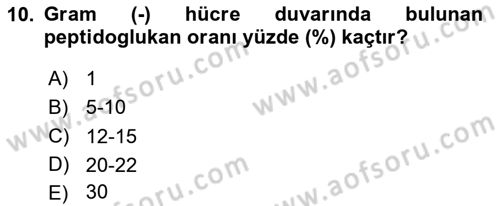 Fitopatoloji Dersi 2024 - 2025 Yılı (Final) Dönem Sonu Sınav Soruları 10. Soru