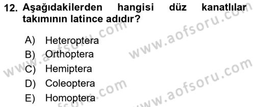 Fitopatoloji Dersi 2024 - 2025 Yılı (Final) Dönem Sonu Sınav Soruları 12. Soru