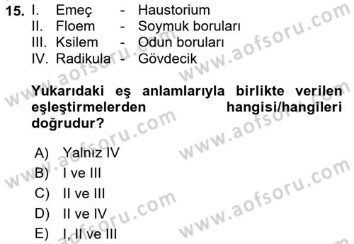 Fitopatoloji Dersi 2024 - 2025 Yılı (Final) Dönem Sonu Sınav Soruları 15. Soru