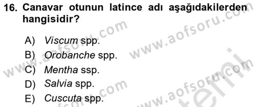 Fitopatoloji Dersi 2024 - 2025 Yılı (Final) Dönem Sonu Sınav Soruları 16. Soru