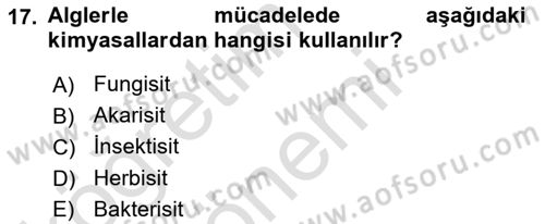 Fitopatoloji Dersi 2024 - 2025 Yılı (Final) Dönem Sonu Sınav Soruları 17. Soru