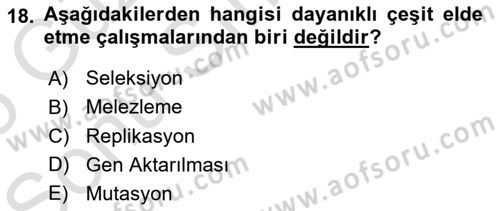 Fitopatoloji Dersi 2024 - 2025 Yılı (Final) Dönem Sonu Sınav Soruları 18. Soru