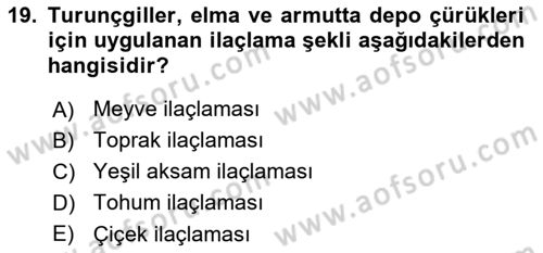 Fitopatoloji Dersi 2024 - 2025 Yılı (Final) Dönem Sonu Sınav Soruları 19. Soru