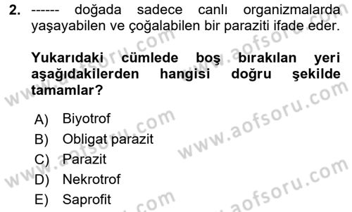 Fitopatoloji Dersi 2024 - 2025 Yılı (Final) Dönem Sonu Sınav Soruları 2. Soru