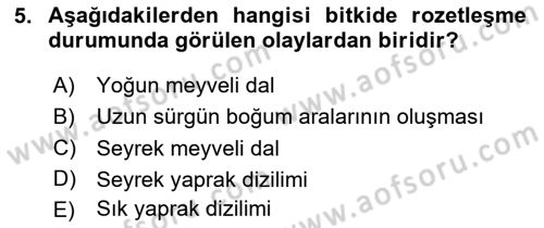 Fitopatoloji Dersi 2024 - 2025 Yılı (Final) Dönem Sonu Sınav Soruları 5. Soru