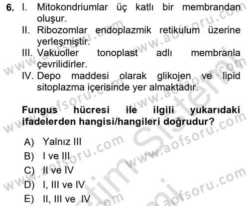 Fitopatoloji Dersi 2024 - 2025 Yılı (Final) Dönem Sonu Sınav Soruları 6. Soru