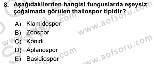Fitopatoloji Dersi 2024 - 2025 Yılı (Final) Dönem Sonu Sınav Soruları 8. Soru