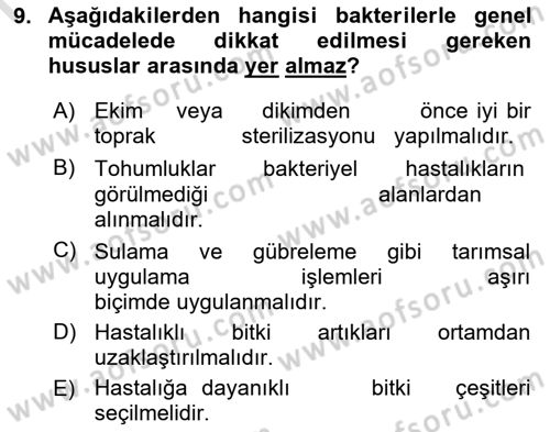 Fitopatoloji Dersi 2024 - 2025 Yılı (Final) Dönem Sonu Sınav Soruları 9. Soru