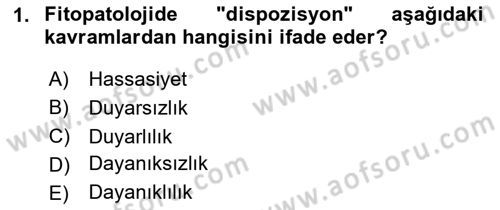 Fitopatoloji Dersi 2024 - 2025 Yılı Yaz Okulu Sınav Soruları 1. Soru