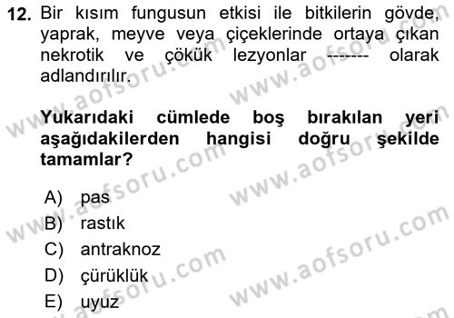 Fitopatoloji Dersi 2024 - 2025 Yılı Yaz Okulu Sınav Soruları 12. Soru