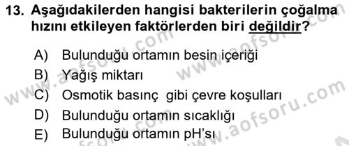 Fitopatoloji Dersi 2024 - 2025 Yılı Yaz Okulu Sınav Soruları 13. Soru
