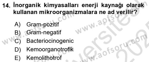 Fitopatoloji Dersi 2024 - 2025 Yılı Yaz Okulu Sınav Soruları 14. Soru