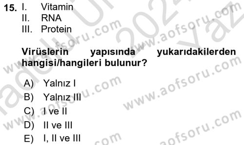 Fitopatoloji Dersi 2024 - 2025 Yılı Yaz Okulu Sınav Soruları 15. Soru