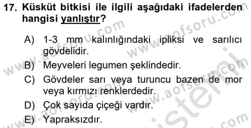 Fitopatoloji Dersi 2024 - 2025 Yılı Yaz Okulu Sınav Soruları 17. Soru