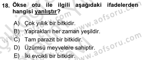 Fitopatoloji Dersi 2024 - 2025 Yılı Yaz Okulu Sınav Soruları 18. Soru