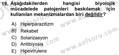 Fitopatoloji Dersi 2024 - 2025 Yılı Yaz Okulu Sınav Soruları 19. Soru