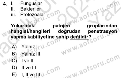 Fitopatoloji Dersi 2024 - 2025 Yılı Yaz Okulu Sınav Soruları 4. Soru