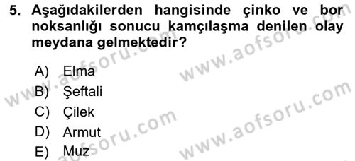 Fitopatoloji Dersi 2024 - 2025 Yılı Yaz Okulu Sınav Soruları 5. Soru