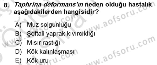 Fitopatoloji Dersi 2024 - 2025 Yılı Yaz Okulu Sınav Soruları 8. Soru