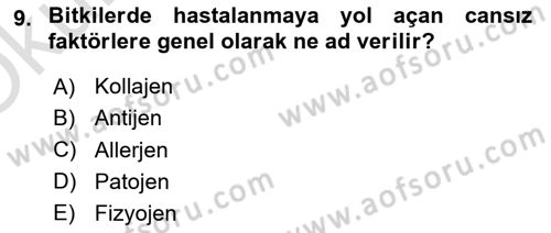 Fitopatoloji Dersi 2024 - 2025 Yılı Yaz Okulu Sınav Soruları 9. Soru