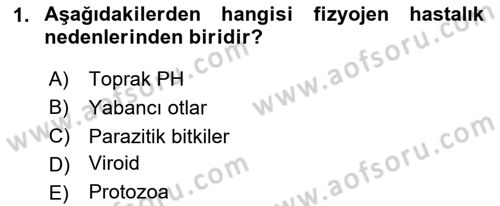 Fitopatoloji Dersi 2025 - 2026 Yılı (Vize) Ara Sınav Soruları 1. Soru