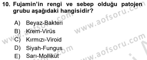 Fitopatoloji Dersi 2025 - 2026 Yılı (Vize) Ara Sınav Soruları 10. Soru