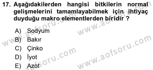 Fitopatoloji Dersi 2025 - 2026 Yılı (Vize) Ara Sınav Soruları 17. Soru