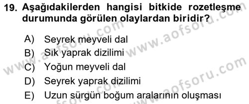 Fitopatoloji Dersi 2025 - 2026 Yılı (Vize) Ara Sınav Soruları 19. Soru