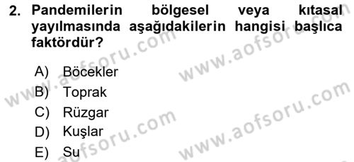 Fitopatoloji Dersi 2025 - 2026 Yılı (Vize) Ara Sınav Soruları 2. Soru