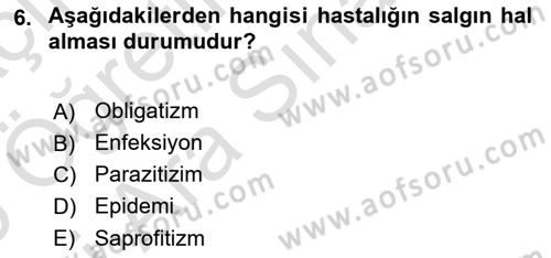 Fitopatoloji Dersi 2025 - 2026 Yılı (Vize) Ara Sınav Soruları 6. Soru