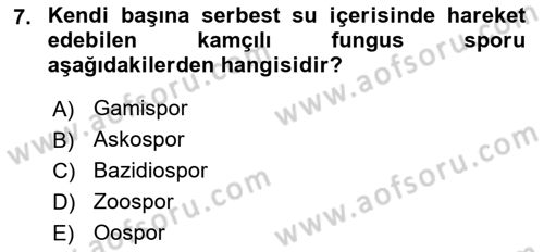 Fitopatoloji Dersi 2025 - 2026 Yılı (Vize) Ara Sınav Soruları 7. Soru