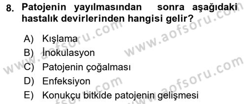 Fitopatoloji Dersi 2025 - 2026 Yılı (Vize) Ara Sınav Soruları 8. Soru