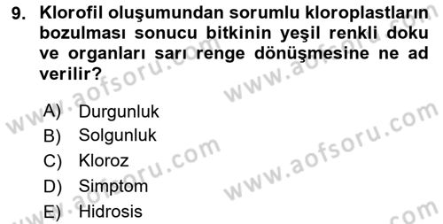 Fitopatoloji Dersi 2025 - 2026 Yılı (Vize) Ara Sınav Soruları 9. Soru
