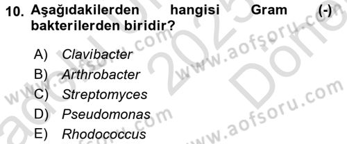 Fitopatoloji Dersi 2025 - 2026 Yılı (Final) Dönem Sonu Sınav Soruları 10. Soru