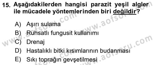 Fitopatoloji Dersi 2025 - 2026 Yılı (Final) Dönem Sonu Sınav Soruları 15. Soru
