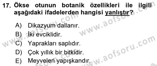 Fitopatoloji Dersi 2025 - 2026 Yılı (Final) Dönem Sonu Sınav Soruları 17. Soru