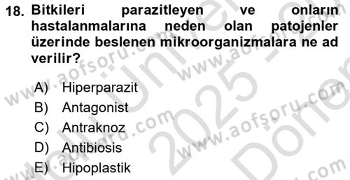 Fitopatoloji Dersi 2025 - 2026 Yılı (Final) Dönem Sonu Sınav Soruları 18. Soru